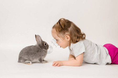 小女孩和猪尾巴玩兔子在浅蜜背景图片