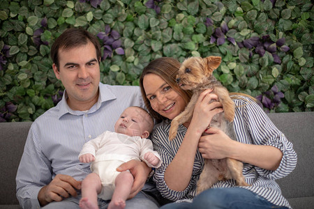 家庭由父母婴儿和一只日耳曼狗组成图片
