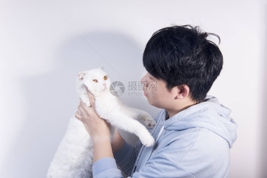 一个亚裔男人拿着一只纯净的白色英国短小宠物猫图片