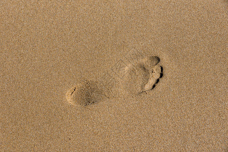 海边的脚印图片