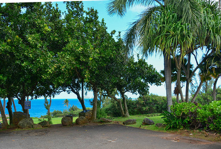 在夏威夷群岛毛伊岛度假图片