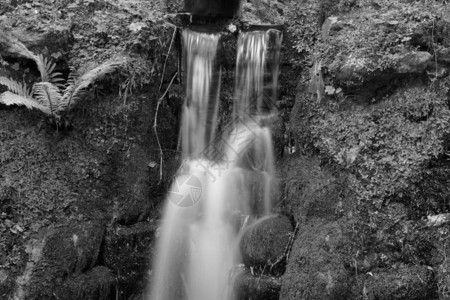 在萨默塞特的Yeovil九泉瀑布公园长图片