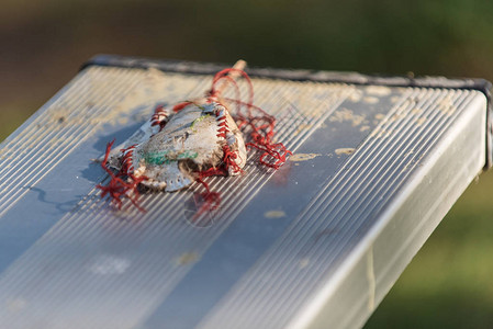 棒球覆盖了球体的磨擦破碎和打碎在体育场的背景图片