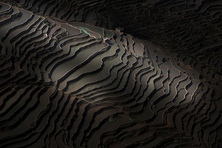 云南建水日出时抽象阴影和水稻梯田层对圆阳大米设计图片