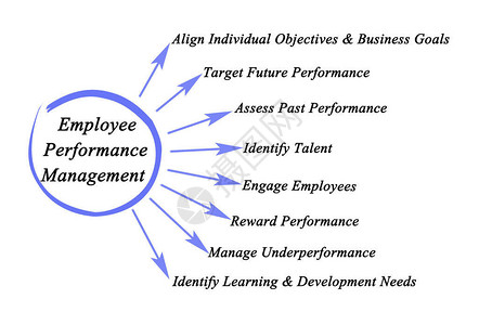 员工绩效管理的组成部分图片