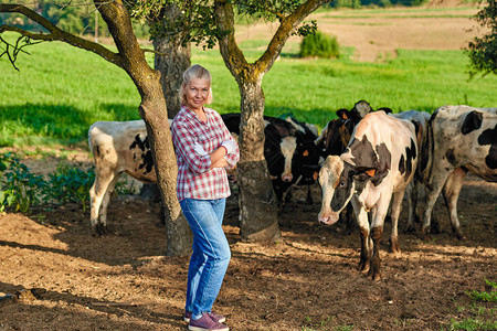 农民妇女正与奶牛一图片