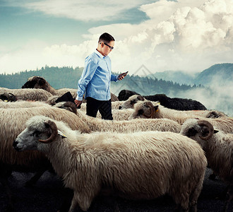 站在羊群中间的商人朝相反的方向走开箱即用的概念在人背景图片