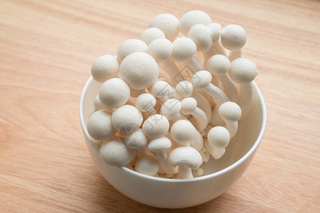 山毛榉蘑菇特写图片