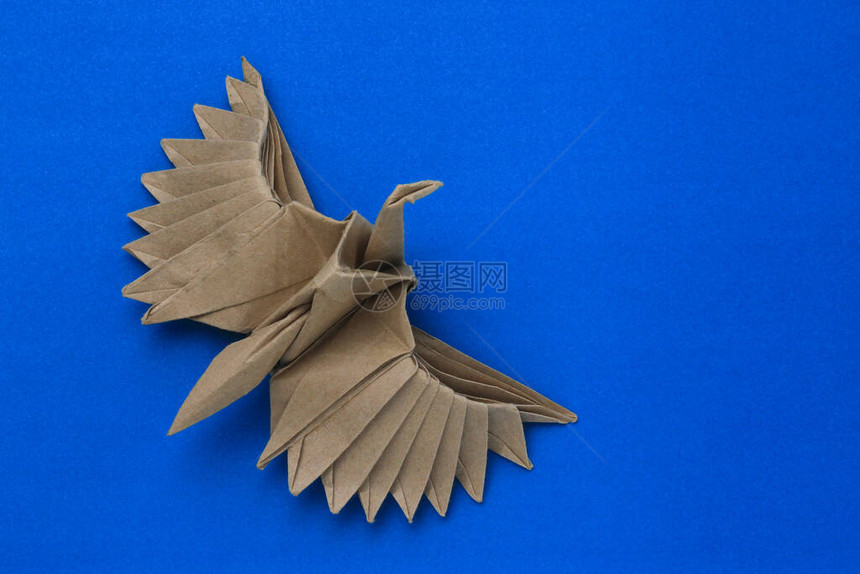 纸织鸟模型选择图片