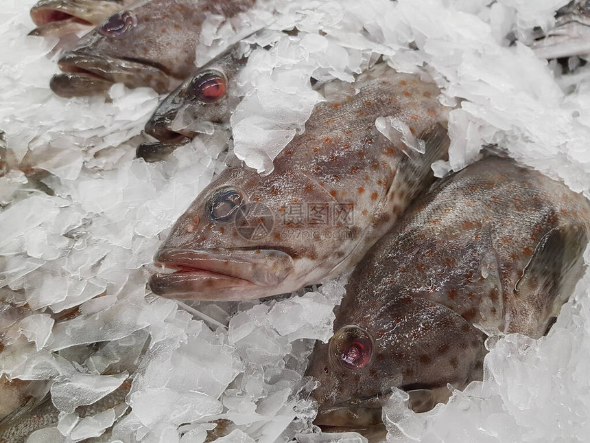 市场上冰新鲜的石斑鱼图片