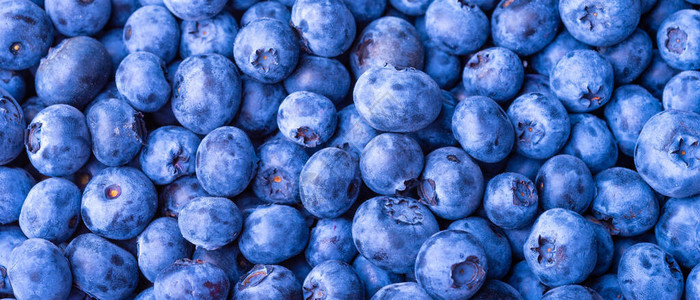 平面上的许多蓝莓顶层视图近视浆果图片