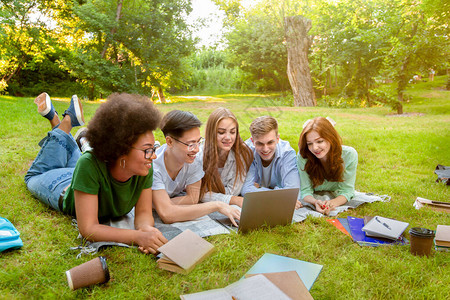 户外学习的大学生图片