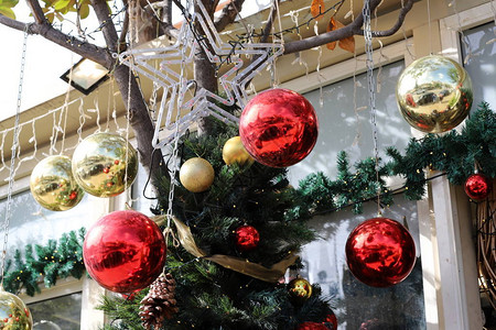 以色列海法街头出售绿色圣诞树圣图片