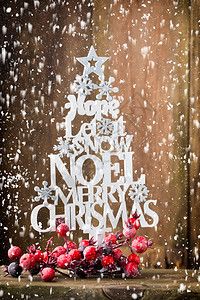 圣诞树诺埃尔的愿望云杉的字母图片