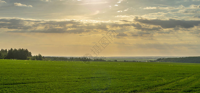 傍晚农田上的日落阳光穿过云层图片