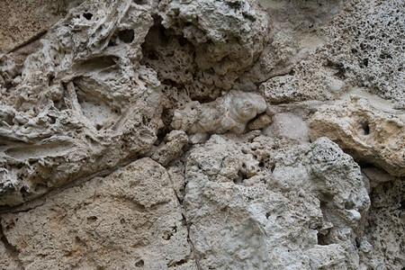 石灰岩是一种沉积的分碎的有机岩图片