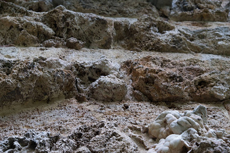石灰岩是一种沉积的分碎的有机岩背景图片