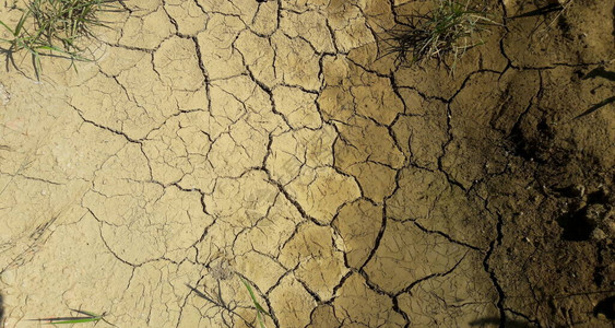过于干旱的土壤干旱图片