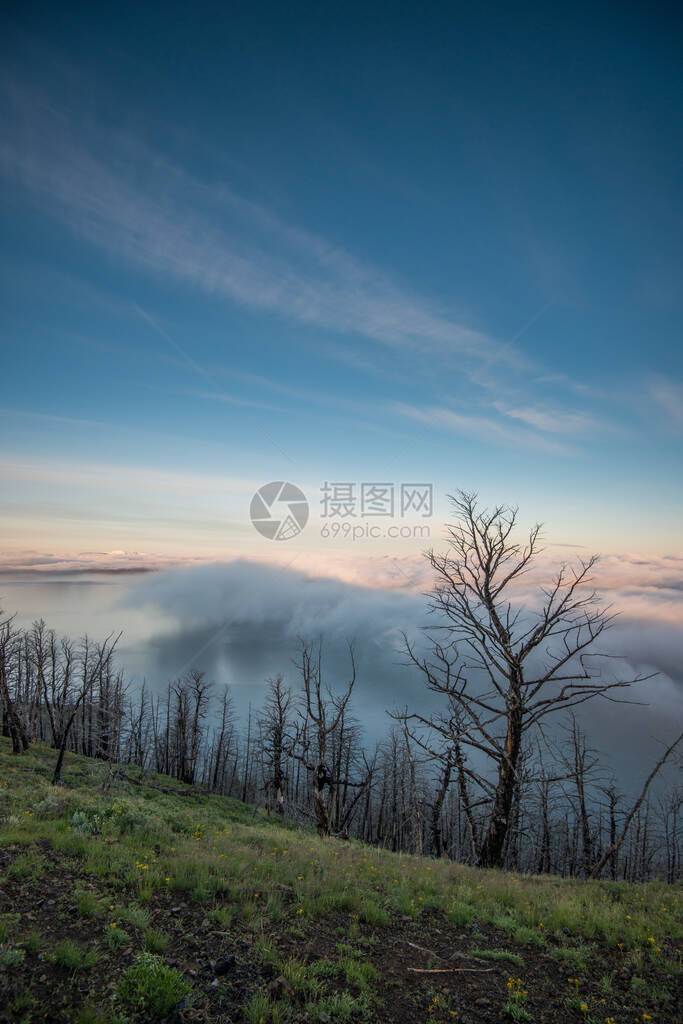 夏季黄石景观图片