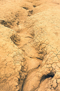 干旱土壤图片