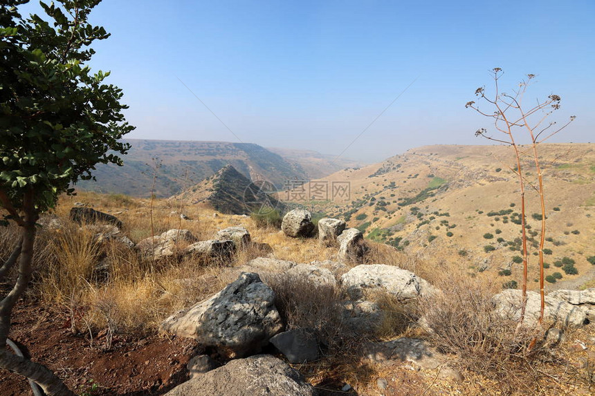 Gamla是位于Galilee海东北18公里的戈兰高地西坡的一个图片
