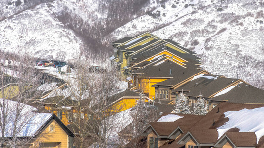 冬季在瓦萨奇山冰霜的斜坡上建起了一排雪屋图片