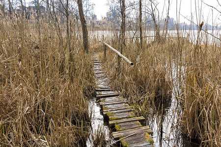 小木桥在冬天穿过护盾通往湖边图片
