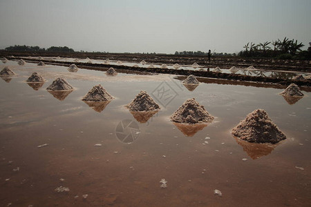 柬埔寨贡布省盐场或盐田在收获季节展示当地人民图片