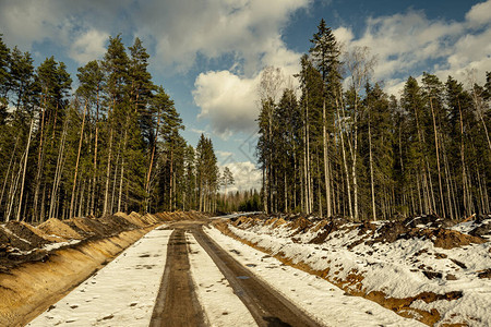 冬季在森林中修建新道路图片