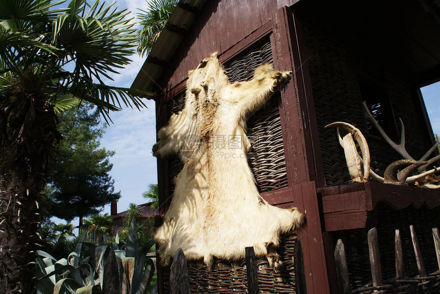 有狼皮的小屋位于城外的一图片