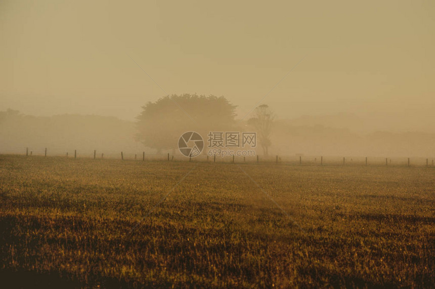 澳大利亚农村的Mist图片