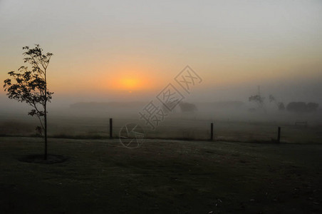 澳大利亚农村的Mist图片