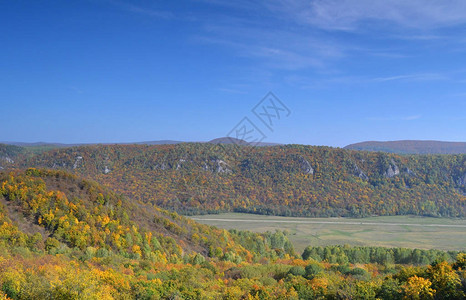 秋天的风景山上的树图片