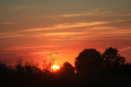 壮丽的日落和树木的美景背景图片