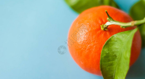 新鲜柑橘有机柑橘类水果和图片