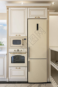 新古典俗式内地的白色和金色木制厨房图片