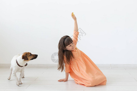 宠物儿童和狗的概念穿着裙子和小狗图片