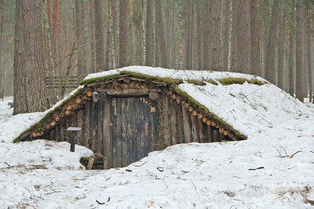 冬季森林中的游击队防空洞苏联游击队在第二次世界大战期间在乌克兰森林中建造的土屋森背景图片