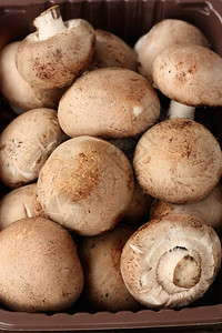 宏包中的新鲜棕色蘑菇图片