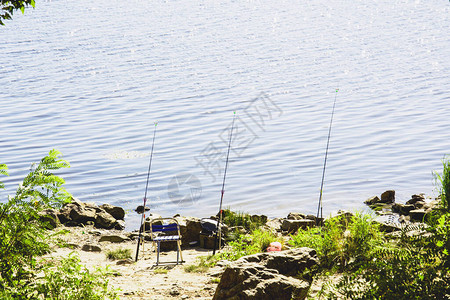 暑假在美丽的湖边钓鱼图片