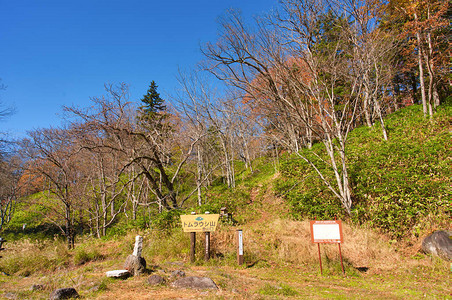 富村北海道的秋天图片