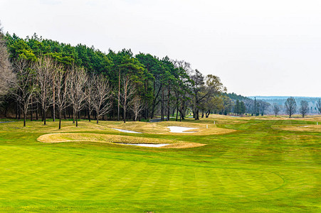 春季昌春金久丹森林公园高尔夫球场景背景图片