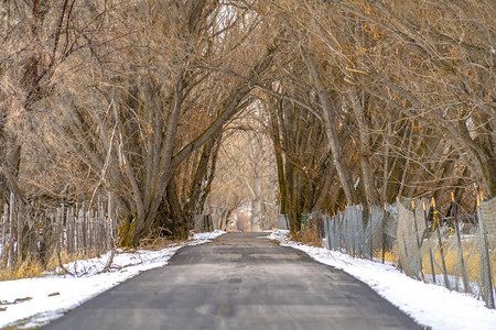 在积雪的地形中铺有链环和带刺铁丝网的道路图片