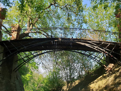 森林的桥梁图片