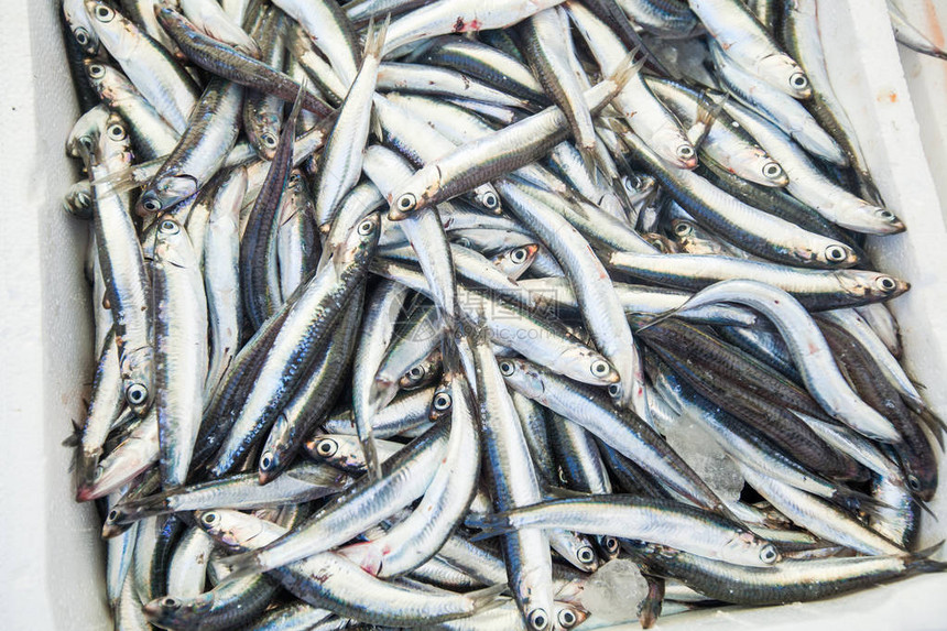 沙丁鱼堆在当地鱼市待售海鲜