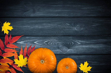 感恩来袭感恩节用木制背景来庆祝南瓜和秋叶的死寂生活背景