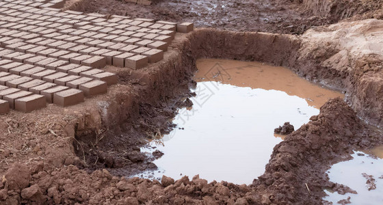 马达加斯泥砖厂田图片