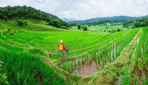 在泰国清迈农田旅游的年轻人图片