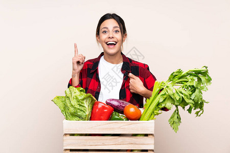 手持新鲜蔬菜的女农妇在木篮子里拿着新鲜蔬菜图片