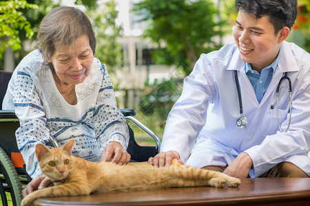 老年人的宠物治疗宠物使病人更图片